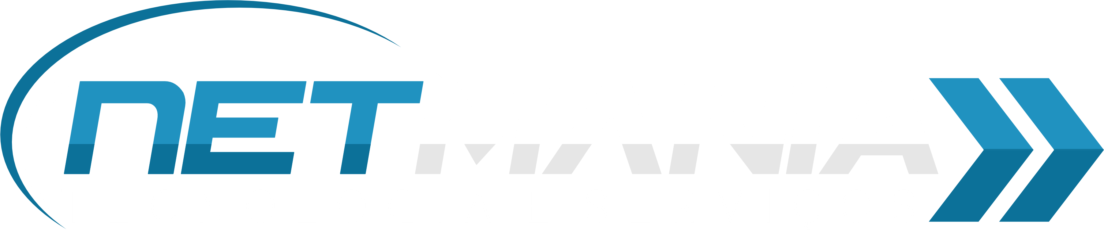 Logo NetMania Tecnologia e Serviços